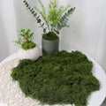 Artificial Faux Moss for DIY Crafts, Home & Garden Decor Artificial Moss Decor Babs 100g-Green