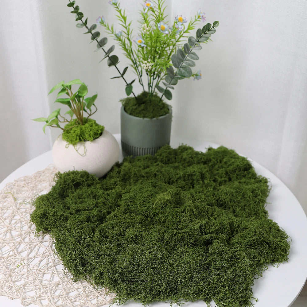 Artificial Faux Moss for DIY Crafts, Home & Garden Decor Artificial Moss Decor Babs 100g-Green