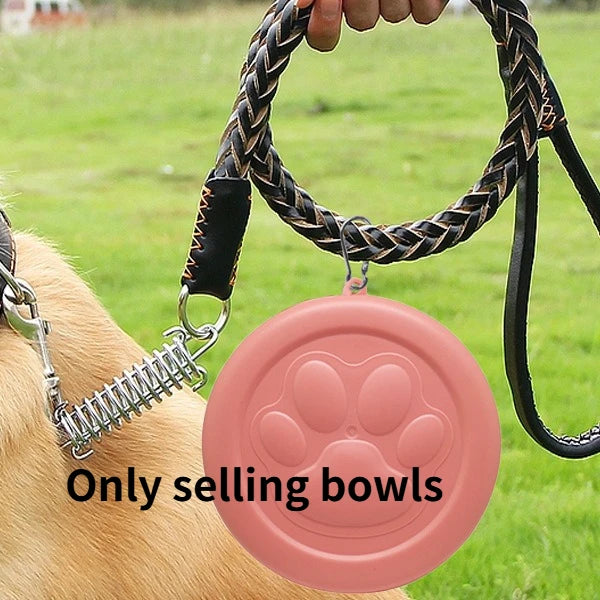 Portable 2-in-1 Pet Food Bowl & Storage Container Pet Travel Bowl Babs