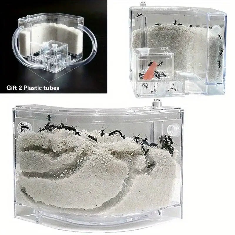 DIY Sand Acrylic Ant Farm with Feeding Area | Biology Toy Ant Farm Toy Babs WHITE