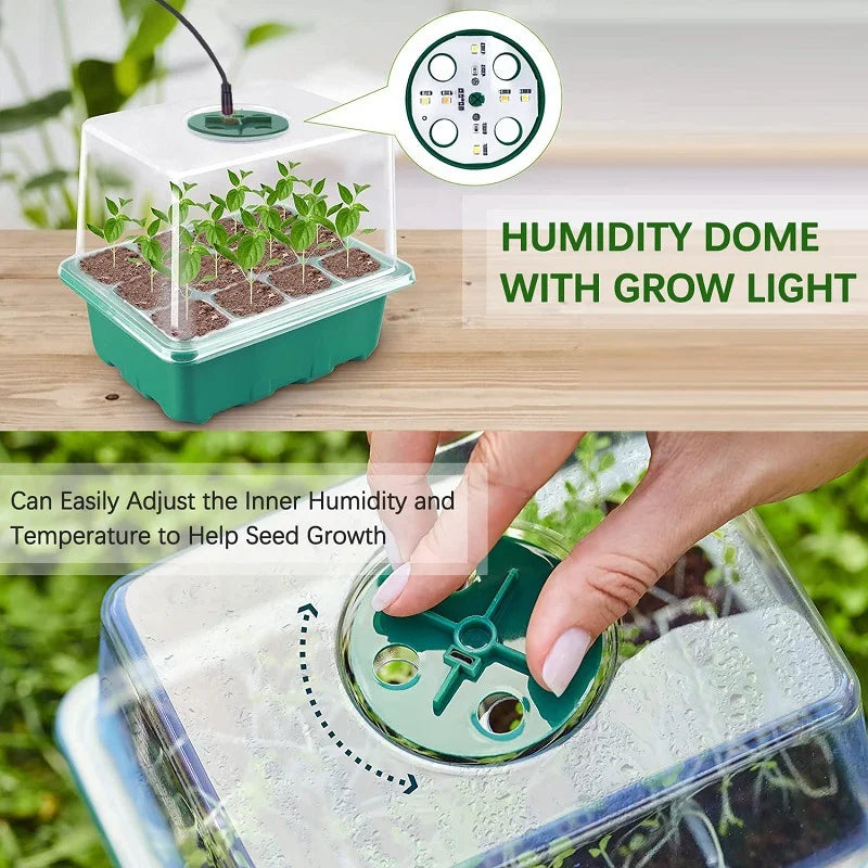Seed Starter Tray with Grow Light & Humidity Dome – 2-Kit Set Seed Starter Kit Babs