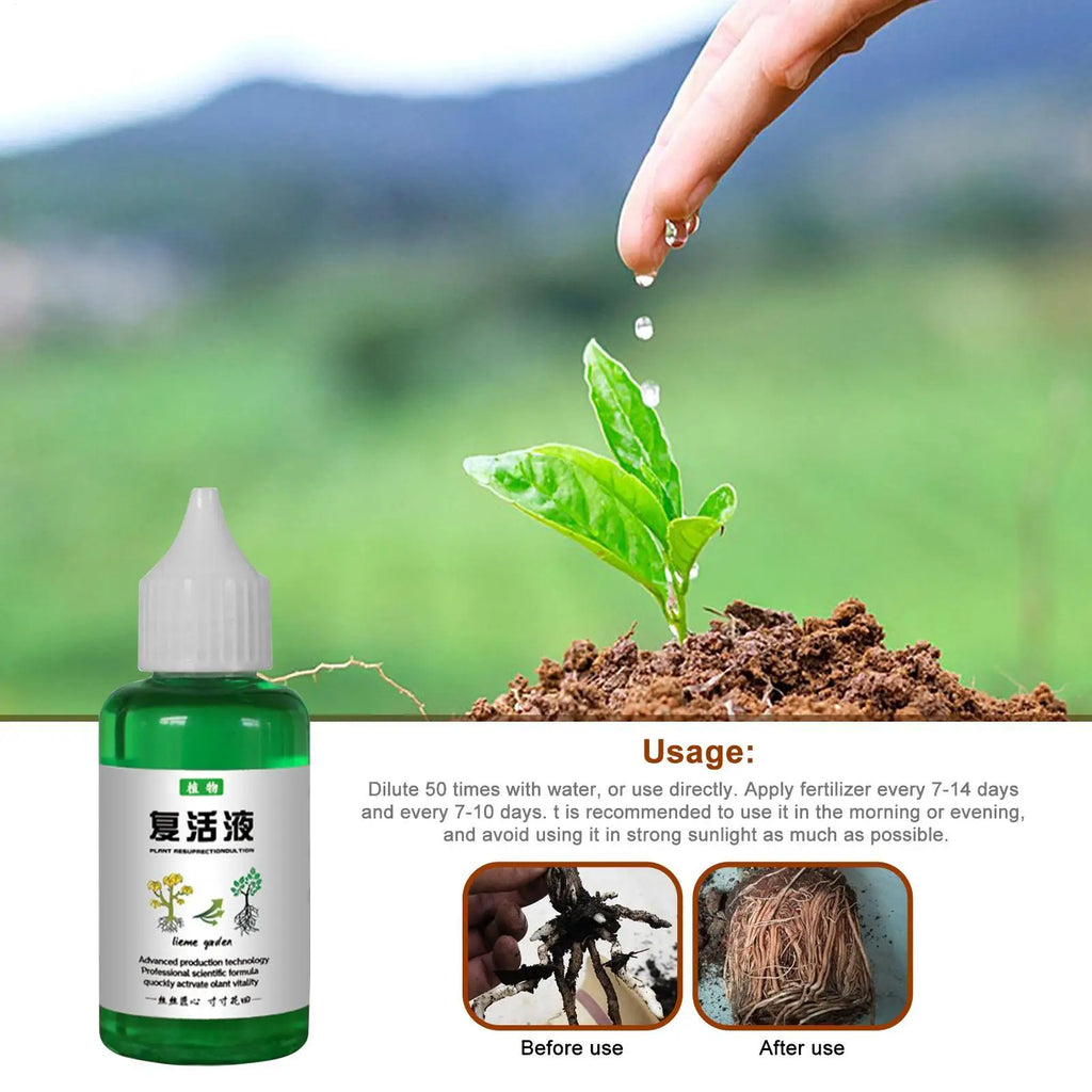 50ml Seaweed Organic Liquid Fertilizer – Plant Nutrient Solution Liquid Plant Fertilizer Babs 50ML
