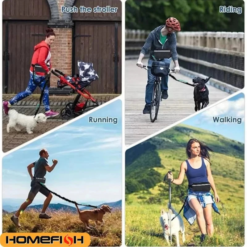 HOMEFISH Hands-Free Dog Leash – Reflective & Elastic Waist Bag Hands-Free Dog Leash Babs