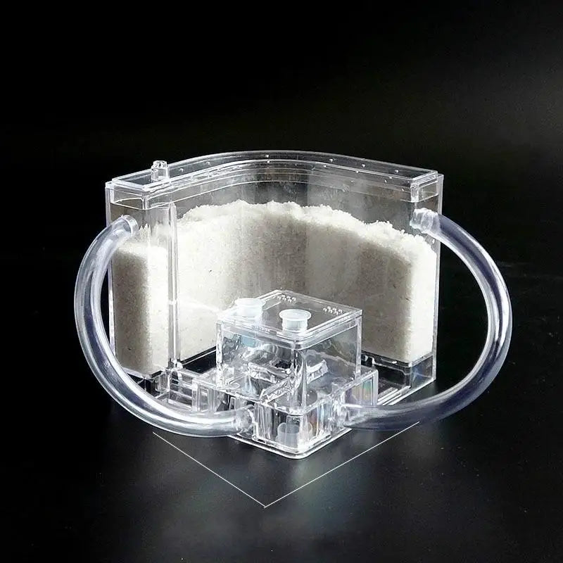 DIY Sand Acrylic Ant Farm with Feeding Area | Biology Toy Ant Farm Toy Babs