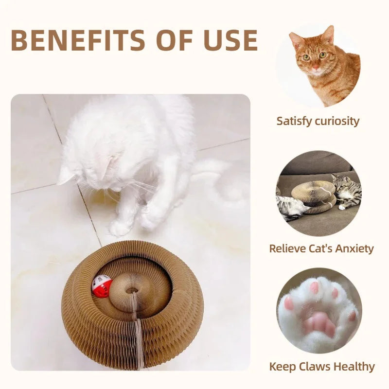Round Double Tier Corrugated Cat Scratch Board Scratcher Toy Cat Scratcher Toy Babs