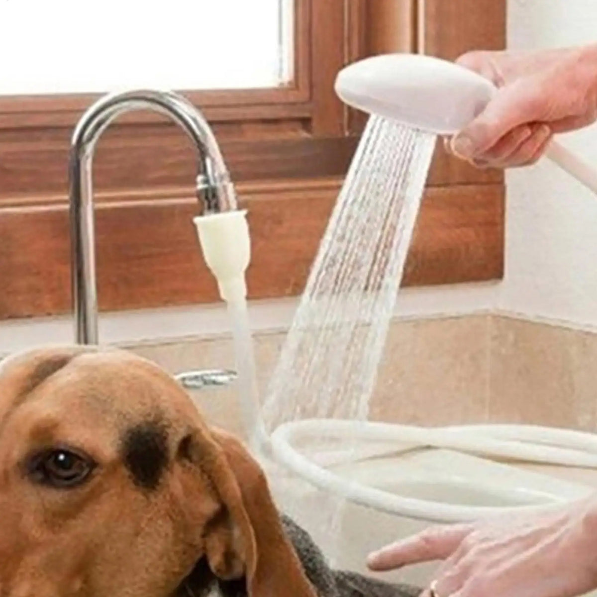 Handheld Pet Shower Sprayer – Universal Faucet Hose Attachment Pet Shower Sprayer Babs