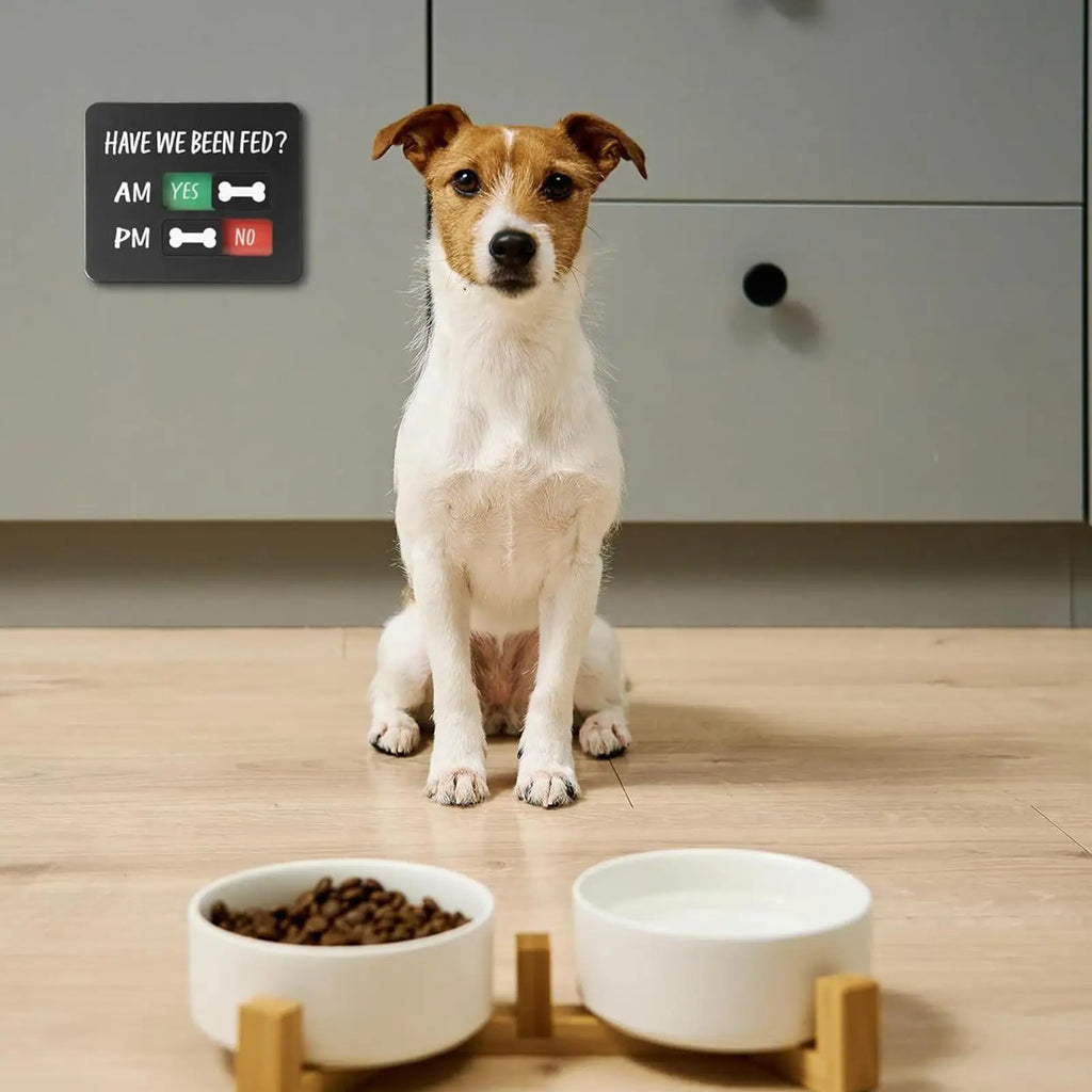 Magnetic Acrylic Dog Feeding Reminder Fridge Sign | Pet Fed Pet Feeding Sign Babs