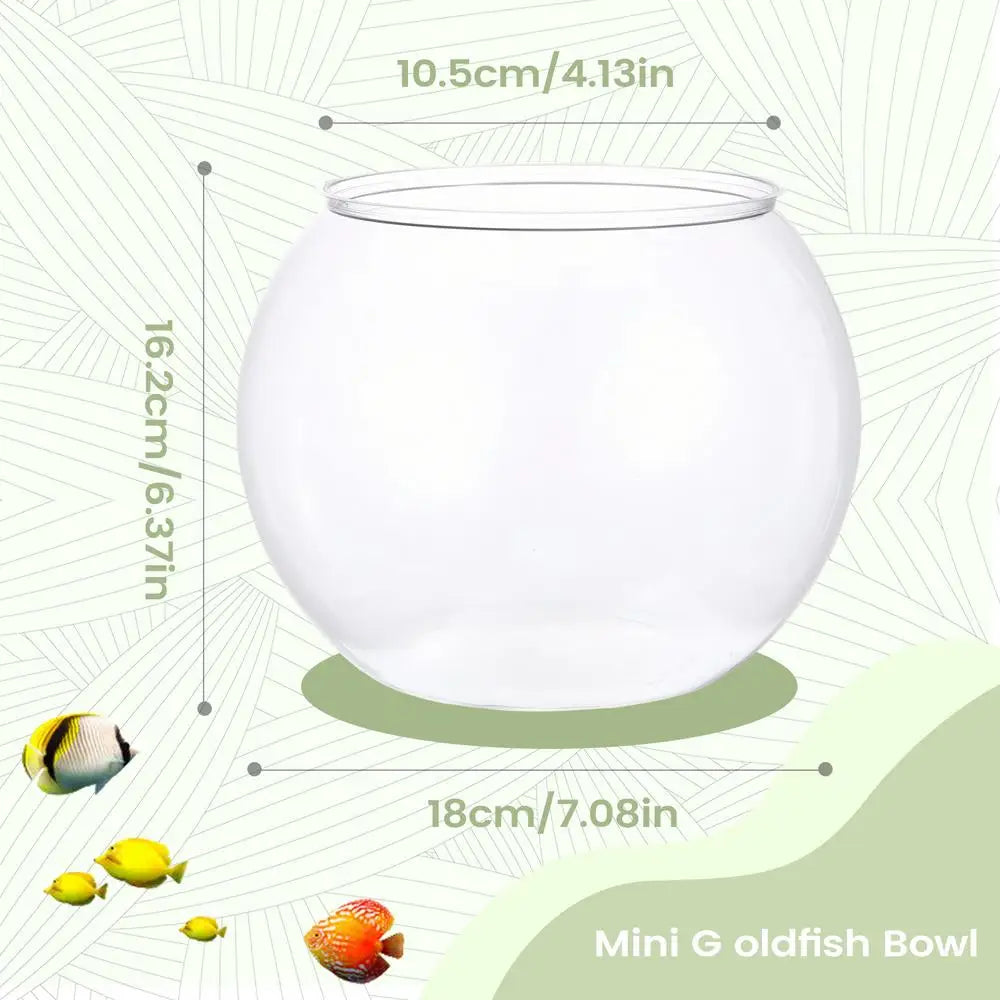 Mini Fish Bowl Desktop Aquarium Bubble Planter – 2 Sizes Decorative Fish Bowl Babs medium