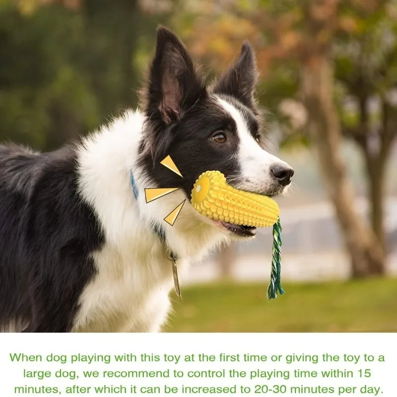 Ultra-Durable Squeaky Chew Toy for Aggressive Chewers Dog Chew Toy Babs