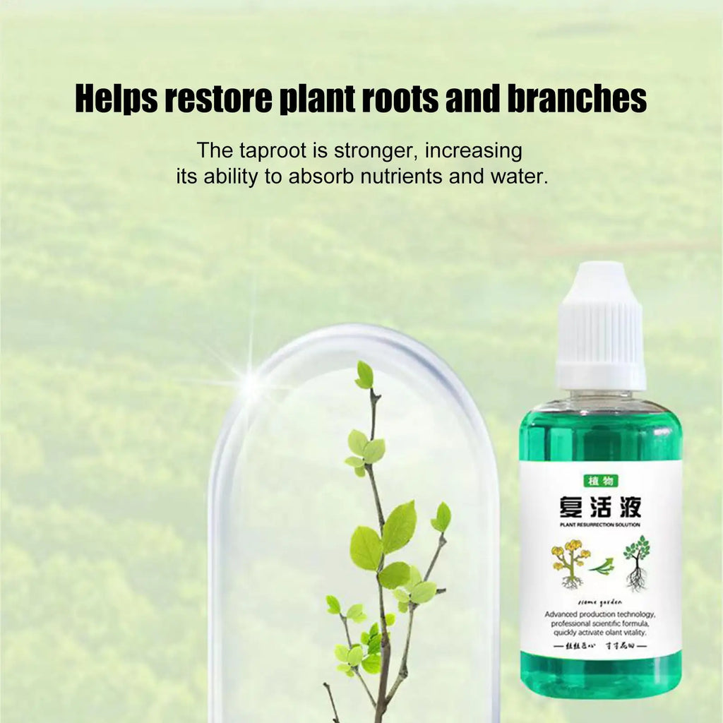 50ml Liquid Plant Food Concentrate – Root Booster & Growth Nutrient Liquid Plant Fertilizer Babs