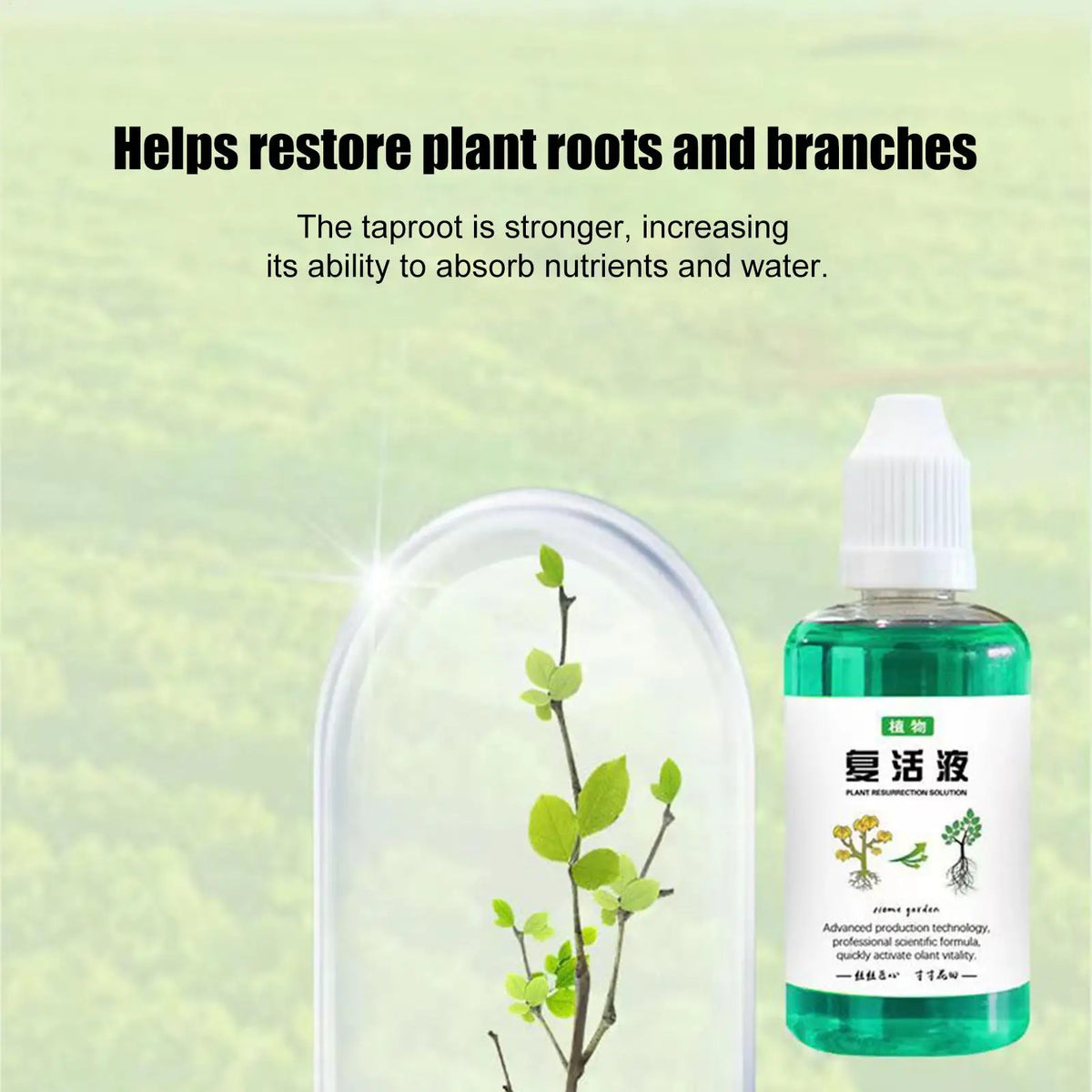 50ml Plant Nutrient Liquid – Root Booster & Growth Fertilizer Liquid Plant Fertilizer Babs