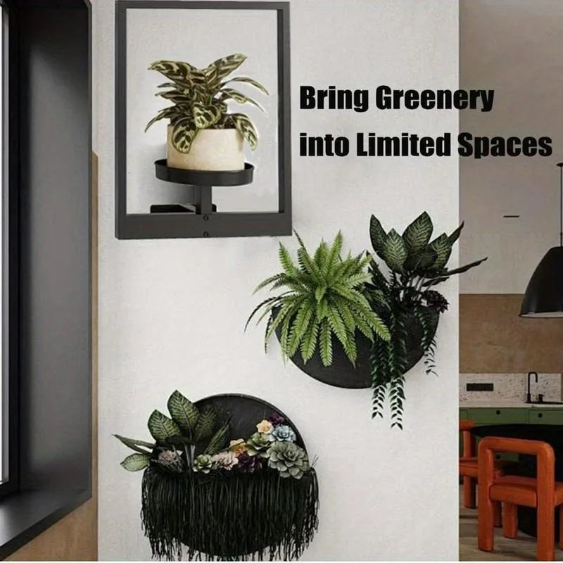 Metal Picture Frame Wall Planter Holder for Succulents & Flowers Wall Planter Holder Babs