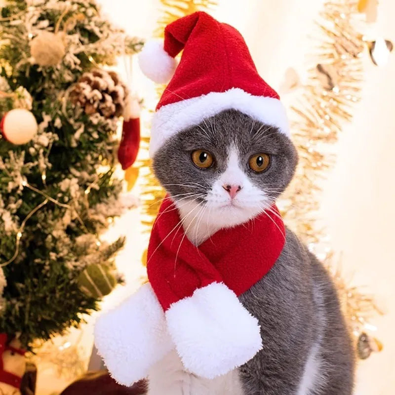 Cat Christmas Hat & Scarf Set – Holiday Pet Costume & Photo Prop Pet Holiday Costume Babs