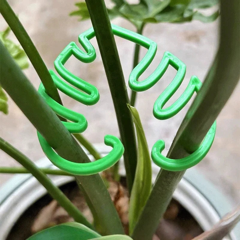 2PCS Turtle Shell Plant Stem Support Clips for Climbing Plants Plant Support Clips Babs