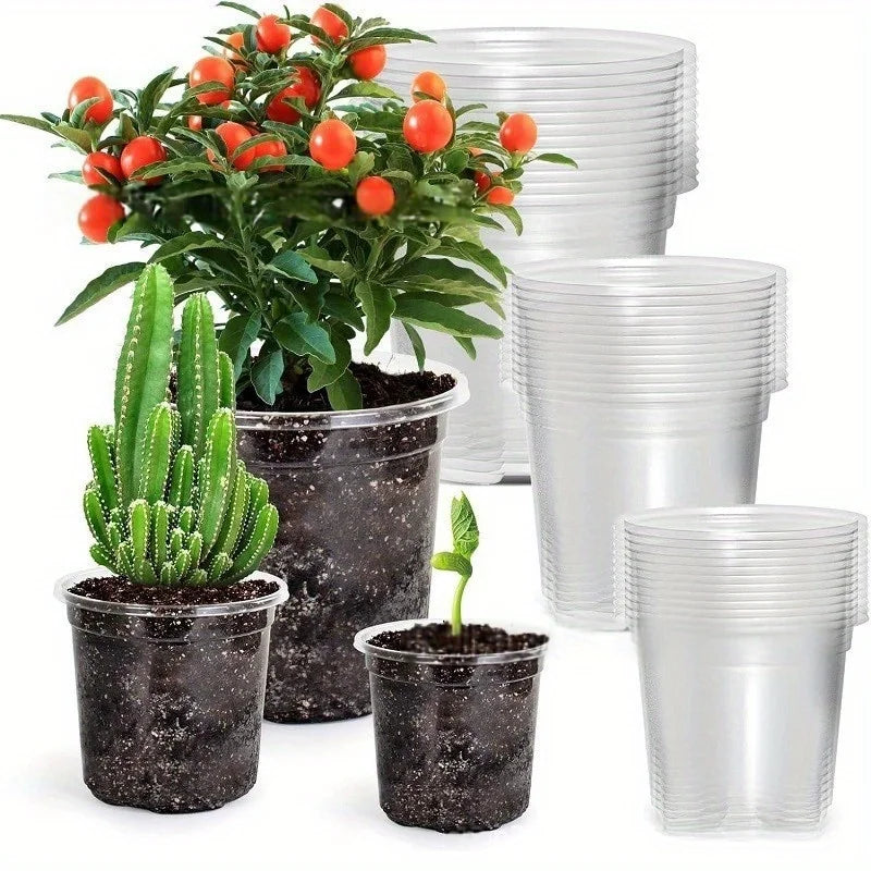 Clear Nursery Pots with Drainage – Transparent Variety Pack Nursery Pots Babs