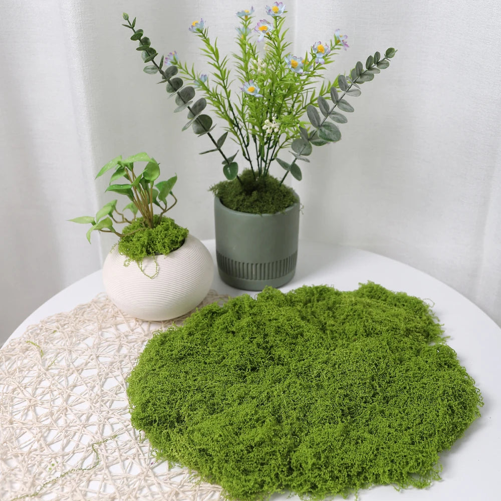 Artificial Faux Moss for DIY Crafts, Home & Garden Decor Artificial Moss Decor Babs 50g-Light Green