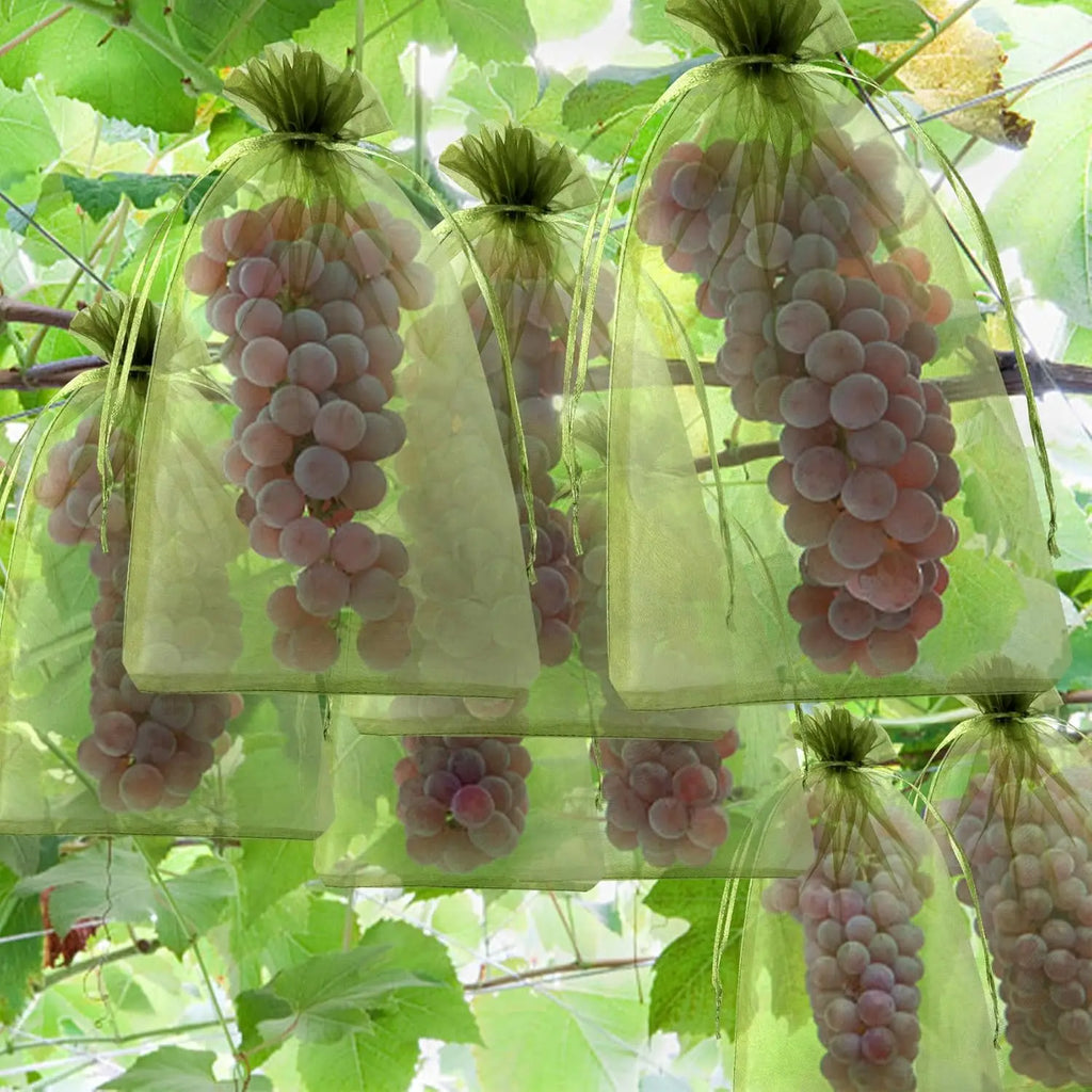 Green Mesh Fruit Protection Bags – Drawstring Pest Barrier Net Garden Pest Netting Babs