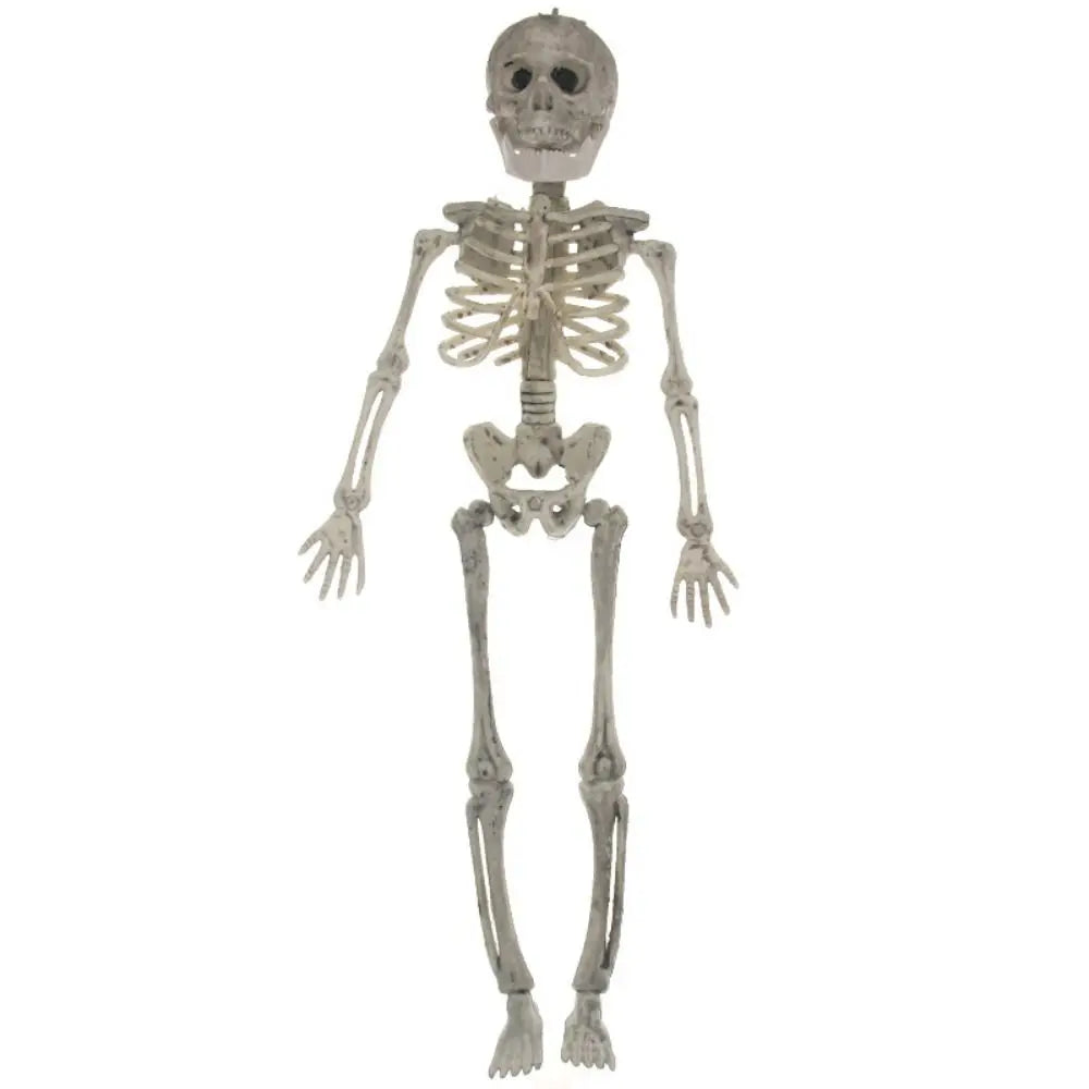 Halloween Skeleton Models – Bat, Lizard, Scorpion & Mouse Figures Halloween Skeleton Figure Babs 1