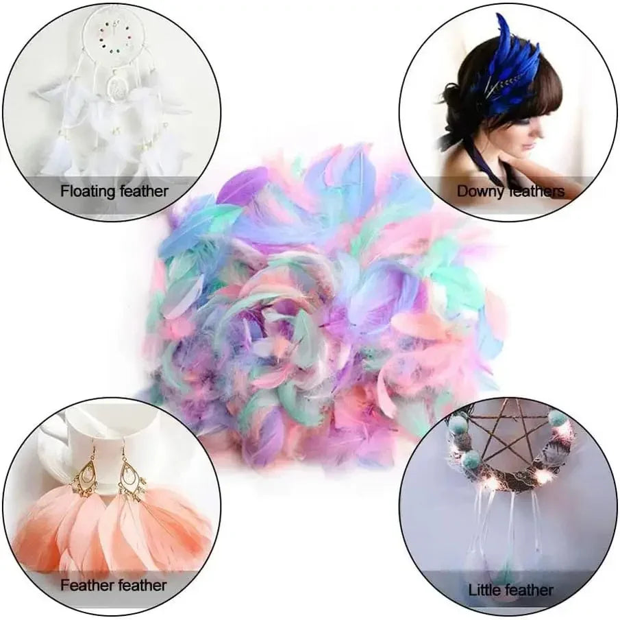 Natural Craft Feathers 7–15cm | Dream Catchers, DIY & Weddings Craft Feathers Babs