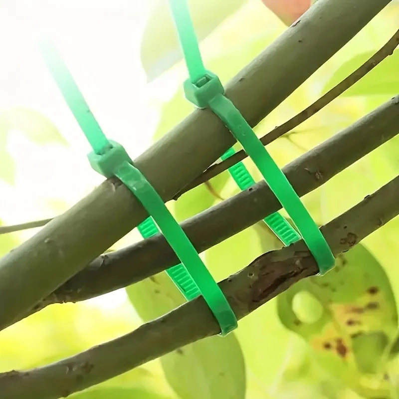 100pcs Nylon Self-Locking Garden Zip Ties – Plant Support Garden Plant Ties Babs