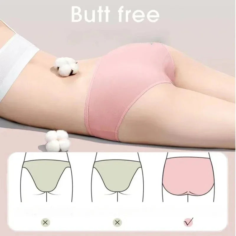 5-Pack Women's Disposable Cotton Briefs | Travel & Postpartum Disposable Briefs Babs