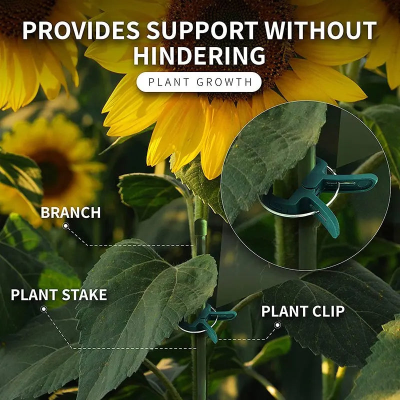 20Pcs Reusable Plant Support Clips for Vines, Stems & Seedlings Plant Support Clips Babs
