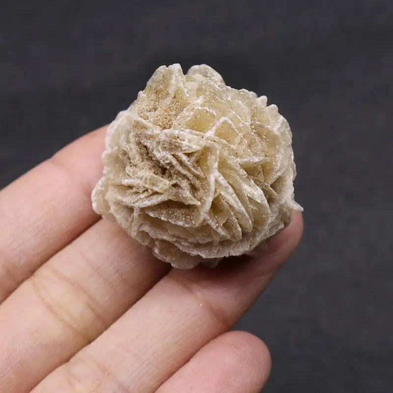 Desert Rose Selenite Stone – Natural Crystal Mineral Specimen Crystal Mineral Specimen Babs 1pc