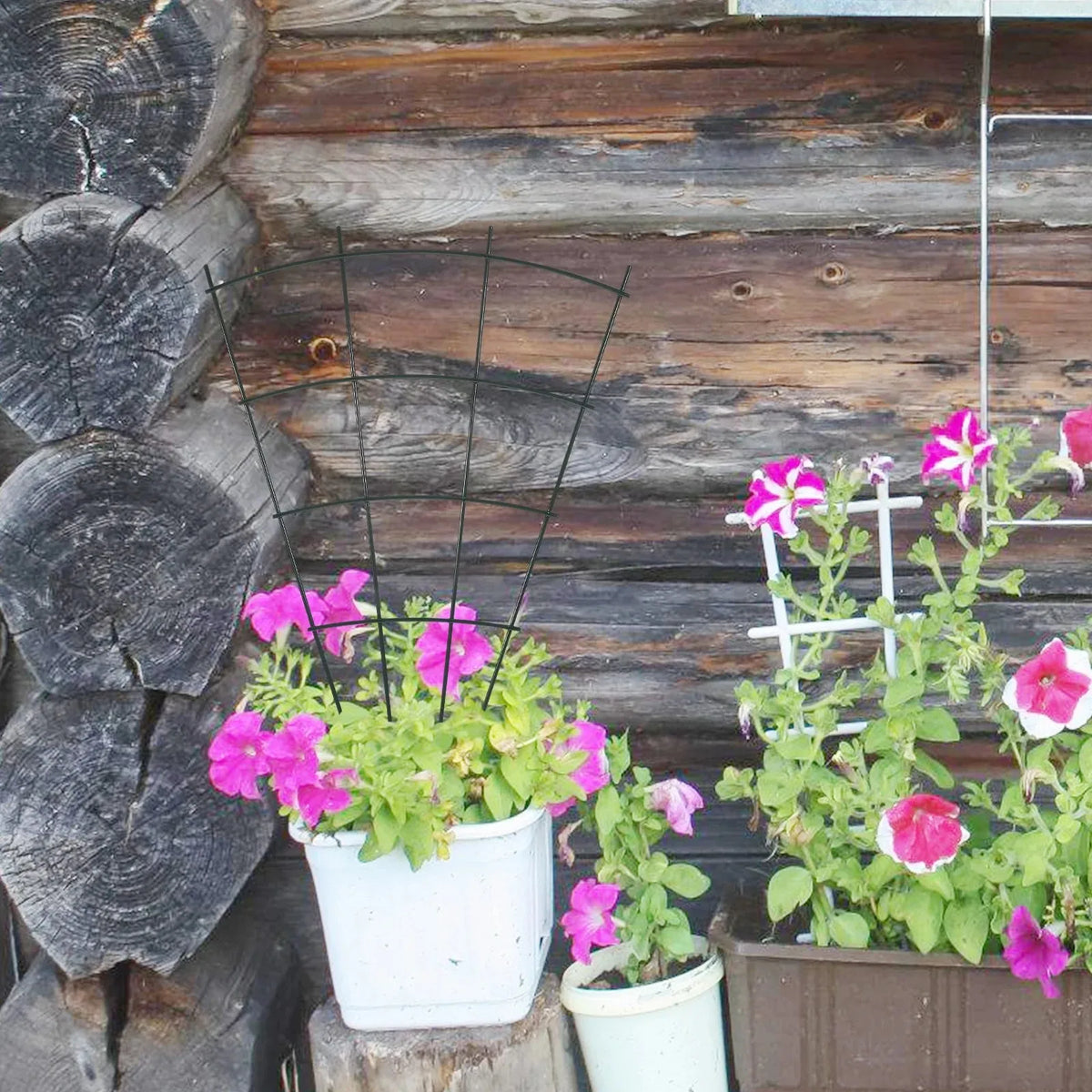 Metal Plant Trellis Climbing Frame – Vine & Flower Garden Support Plant Trellis Support Babs
