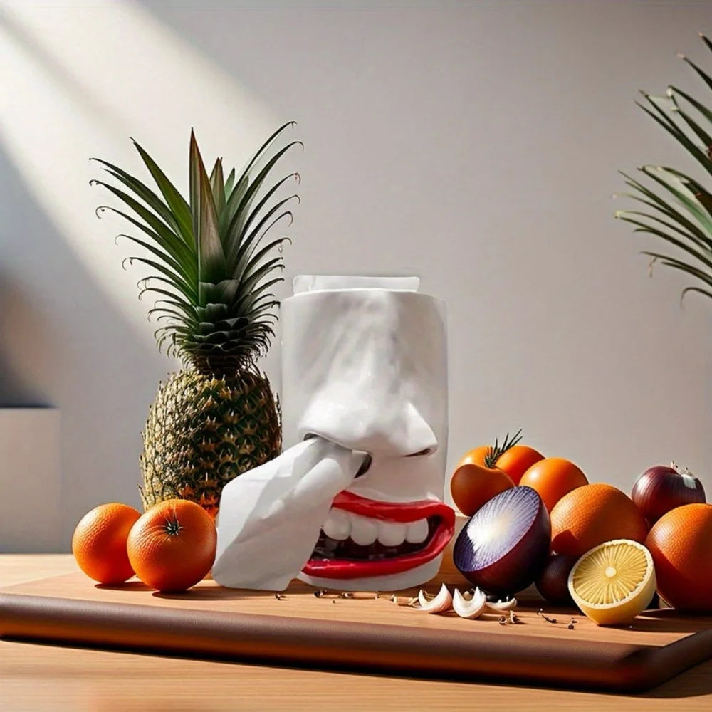 Funny Face Tissue Box Holder – Novelty Nose & Mouth Design Novelty Tissue Holder Babs