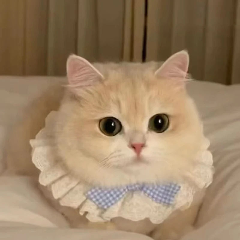 Cute Cat & Dog Bow Scarf – Soft Crochet Pet Neck Accessory Pet Bow Scarf Babs