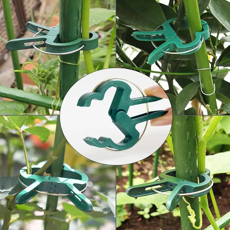 20Pcs Reusable Plant Support Clips for Vines, Stems & Seedlings Plant Support Clips Babs