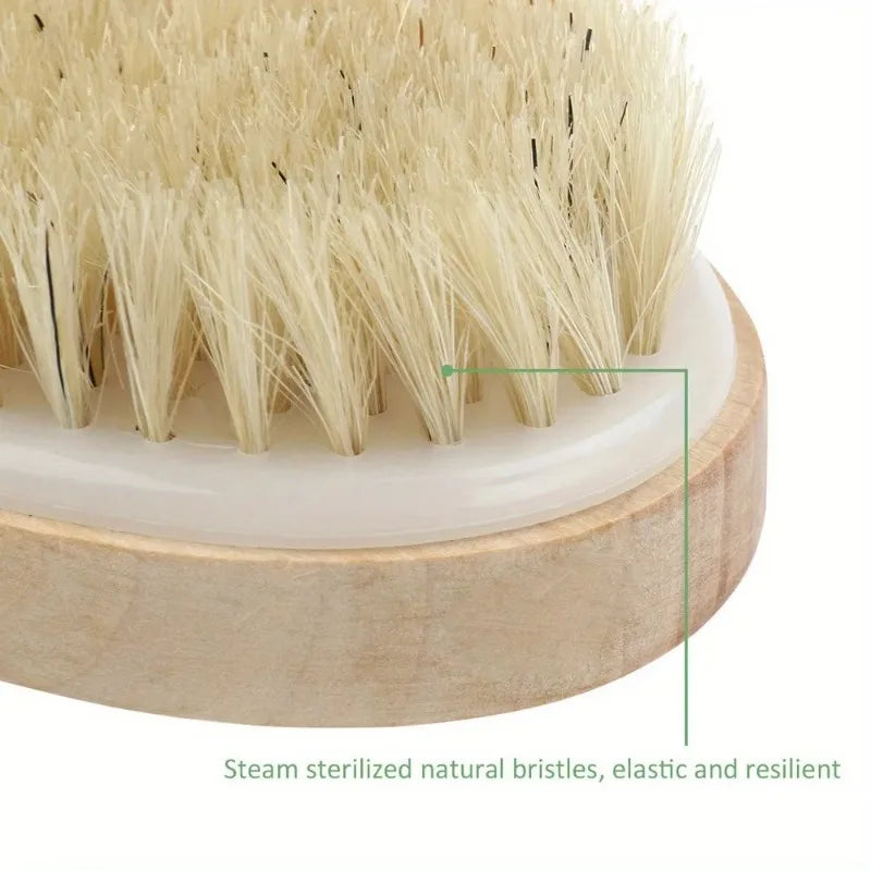Natural Bristle Body Spa Brush – Wet & Dry Skin Massager Bath & Body Brush Babs
