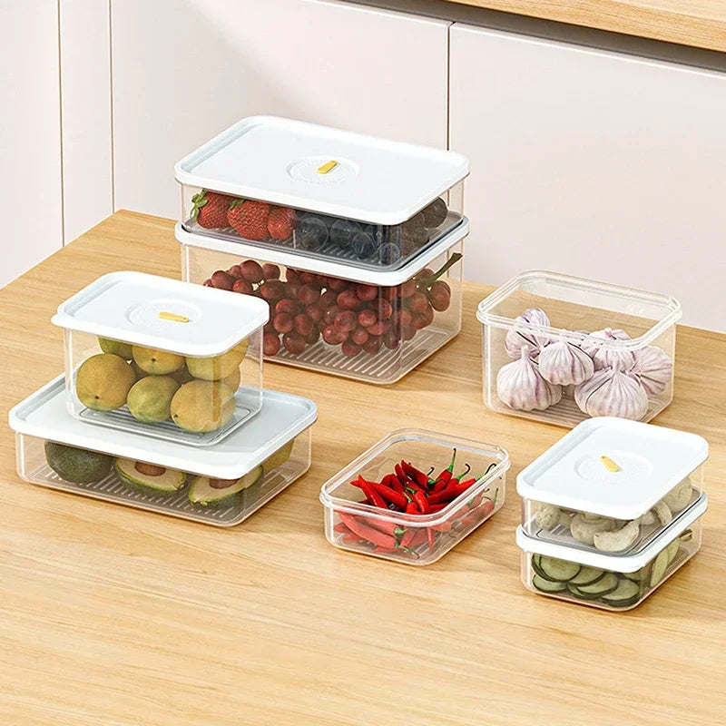 Lunch Meat & Cheese Keeper Container – Fridge Organizer Box Food Storage Container Babs