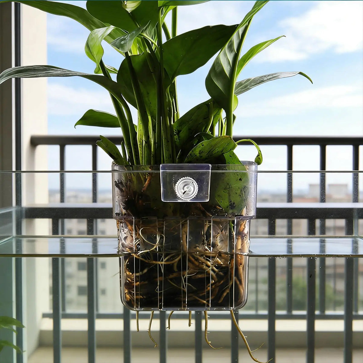 Aquarium Plant Basket – Transparent Fish Tank Hanging Planter Aquarium Plant Holder Babs