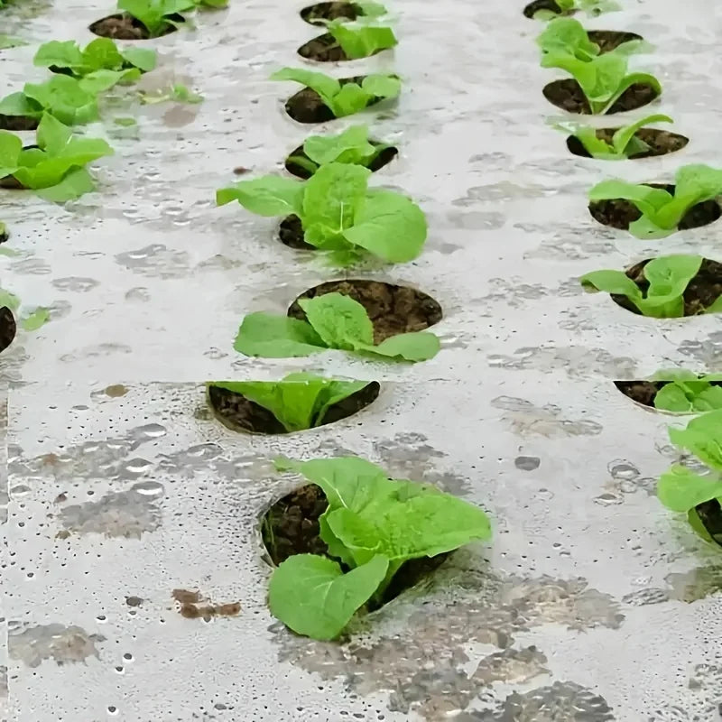 Garden Weed Control Barrier Film with Planting Holes | PE Mulch Garden Mulch Film Babs