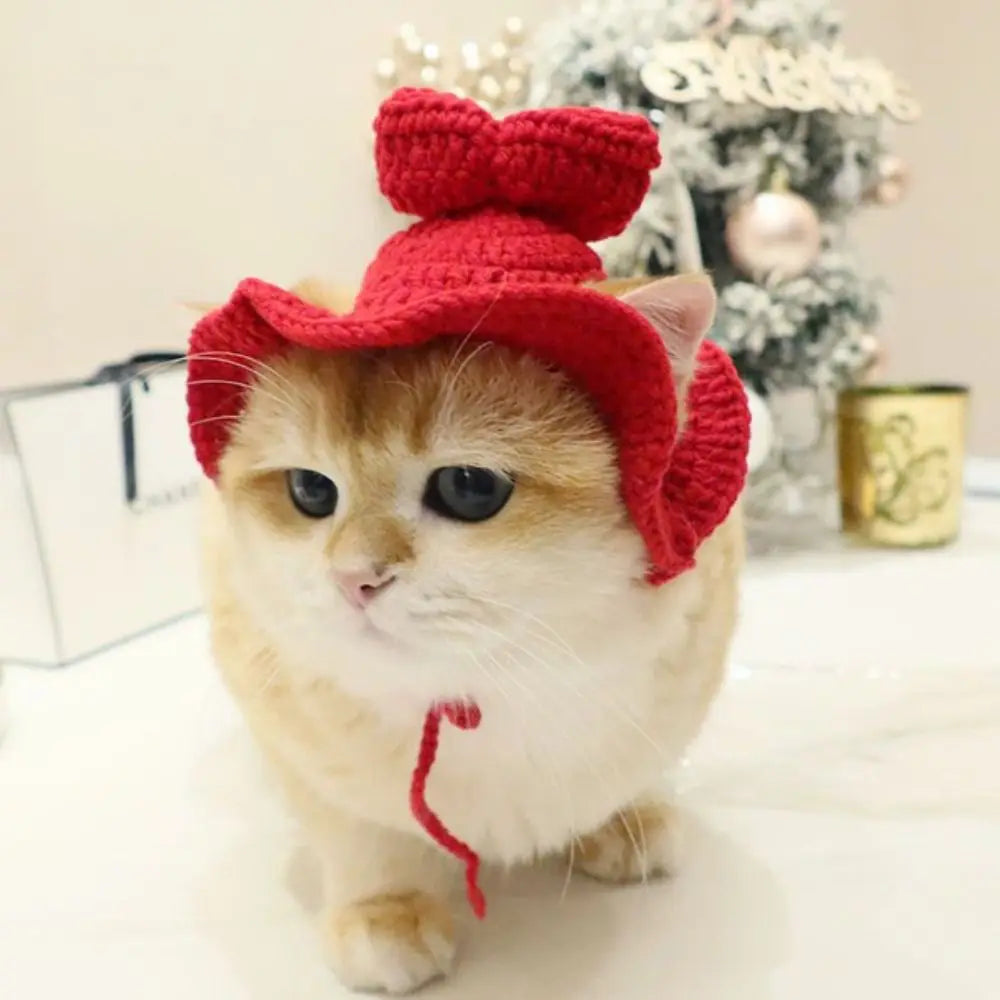 Crochet Frog Hat for Cats & Dogs – Cute Pet Party Photo Prop Pet Costume Hat Babs M-bow