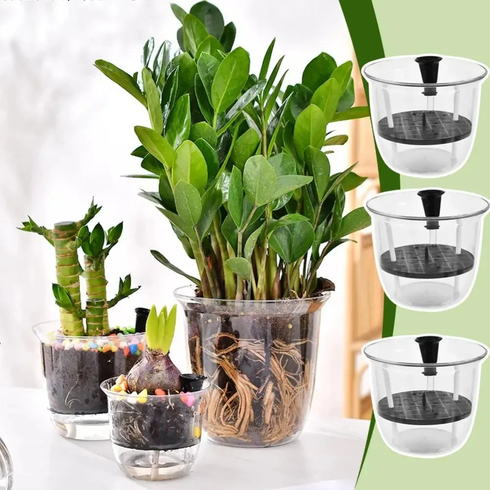 2-Pack Clear Self-Watering Indoor Plant Pots with Deep Reservoir Self-Watering Planter Babs