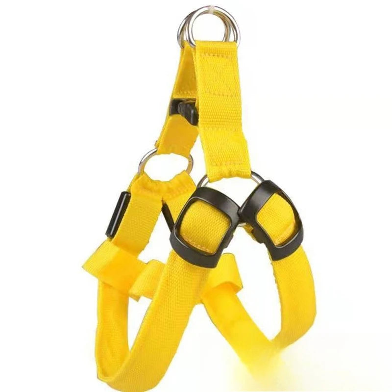 LED Light-Up Dog Leash Harness | USB Rechargeable Glow Walk LED Dog Leash Babs