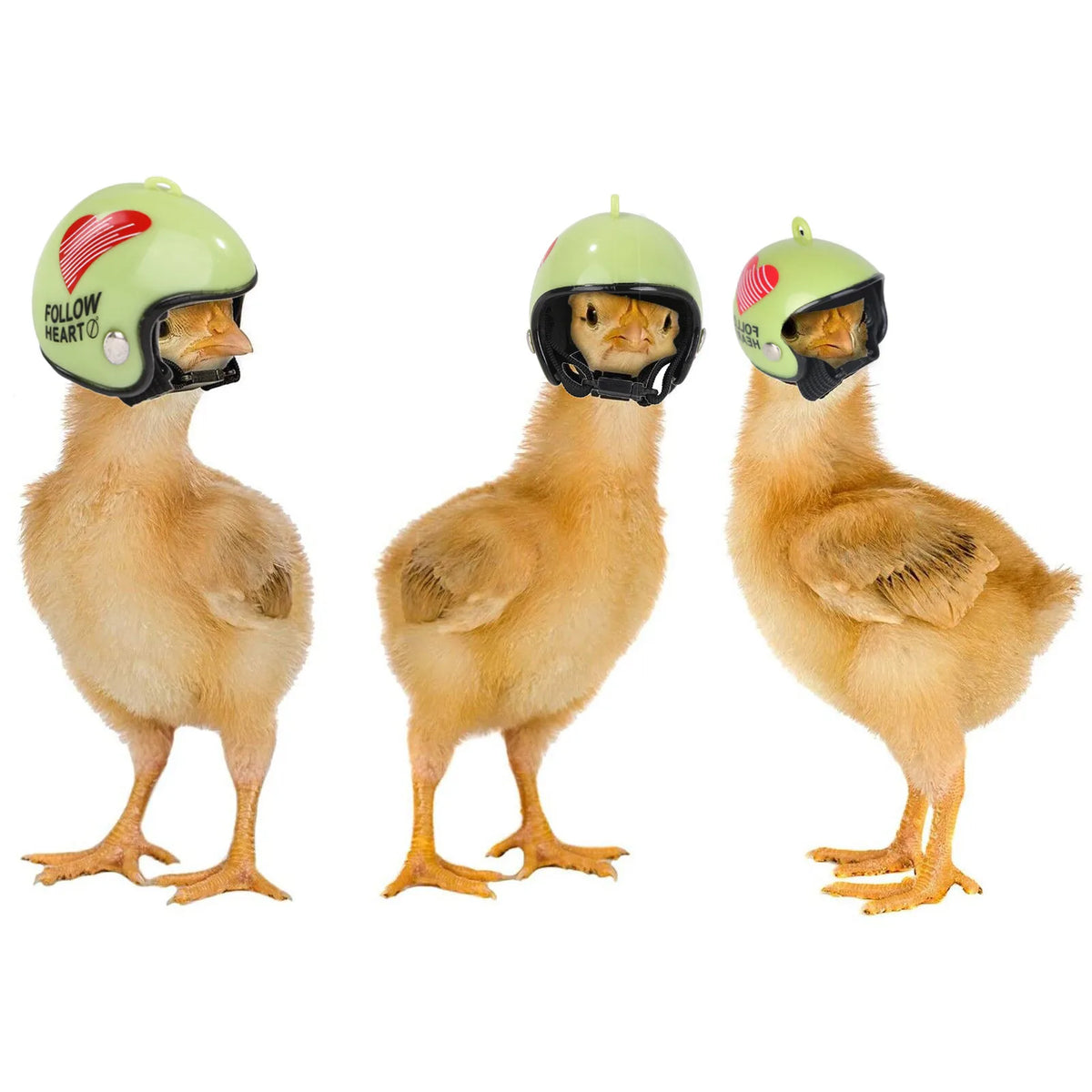 Chicken Helmet Hat – Adjustable Costume for Hens & Birds Pet Costume Accessory Babs