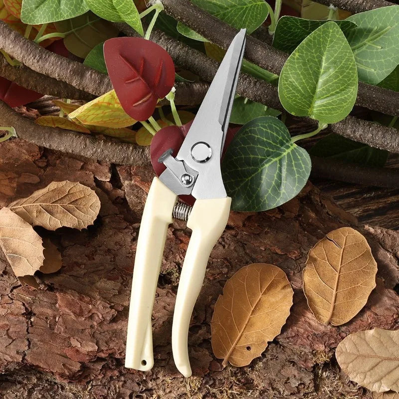 Stainless Steel Pruning Shears – Garden & Orchard Branch Cutter Pruning Shears Babs