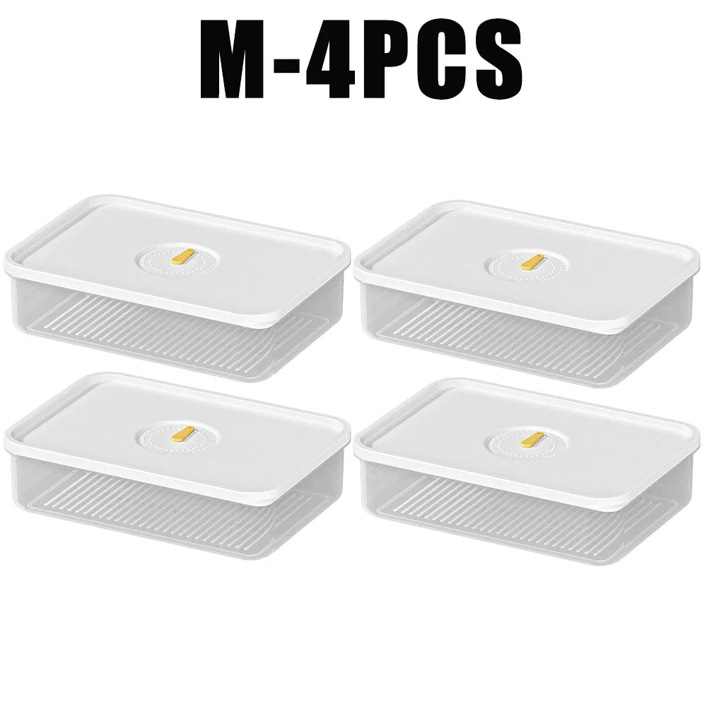 Lunch Meat & Cheese Keeper Container – Fridge Organizer Box Food Storage Container Babs M-4PCS