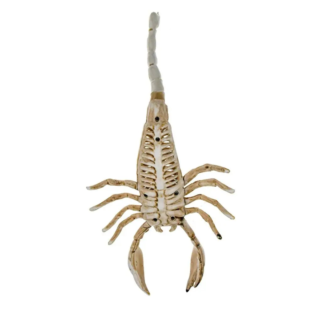 Halloween Skeleton Models – Bat, Lizard, Scorpion & Mouse Figures Halloween Skeleton Figure Babs 2
