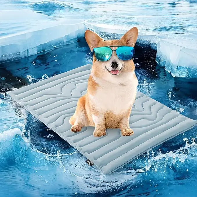 Reusable Pet Cooling Mat – Self-Cooling Pad for Dogs & Cats Pet Cooling Mat Babs Blue S 51x41CM