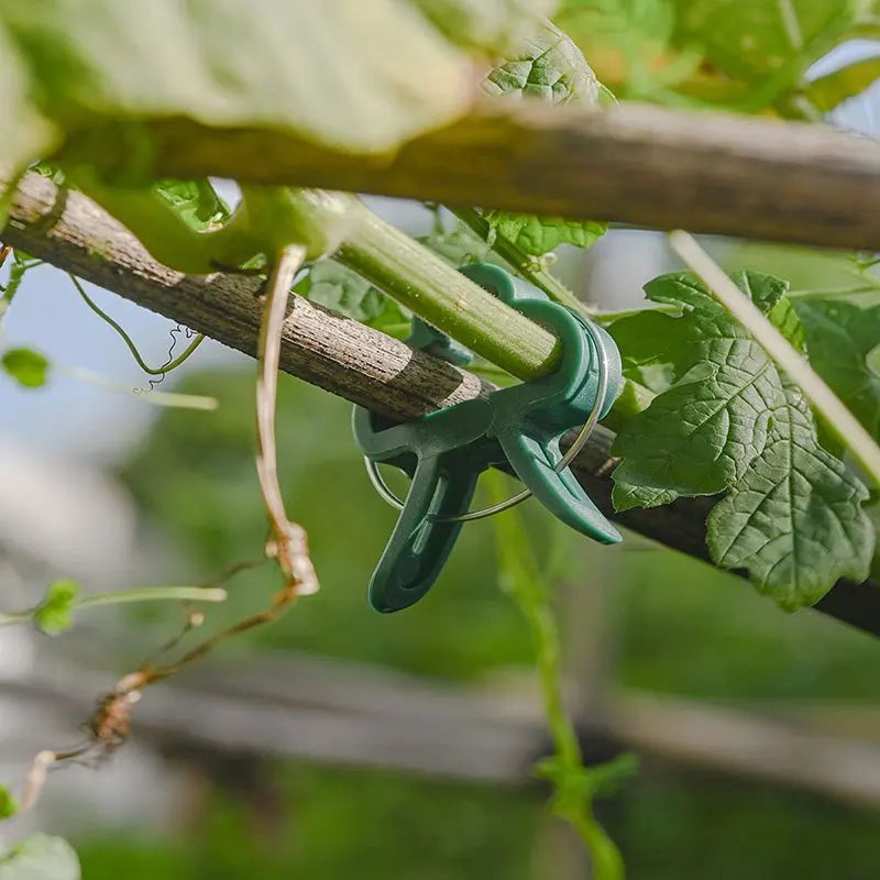 20Pcs Reusable Plant Support Clips for Vines, Stems & Seedlings Plant Support Clips Babs