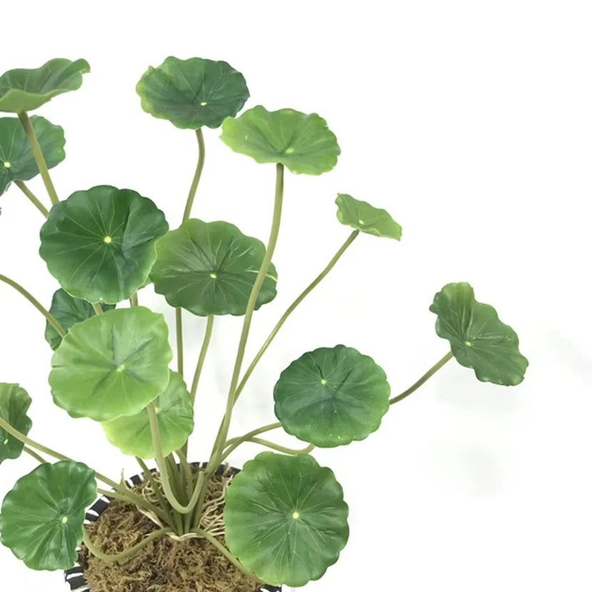 Artificial Lotus Leaf Plants – Garden, Pond & Bonsai Décor Artificial Lotus Leaves Babs