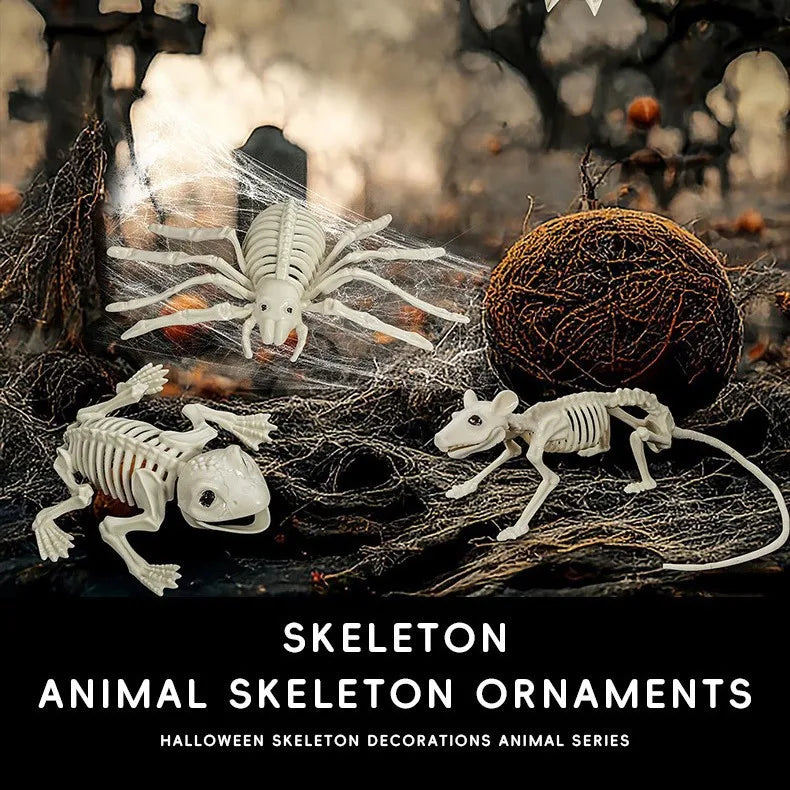 Halloween Skeleton Animal Bones Props – Bat, Spider & Scary Decor Halloween Prop Decoration Babs