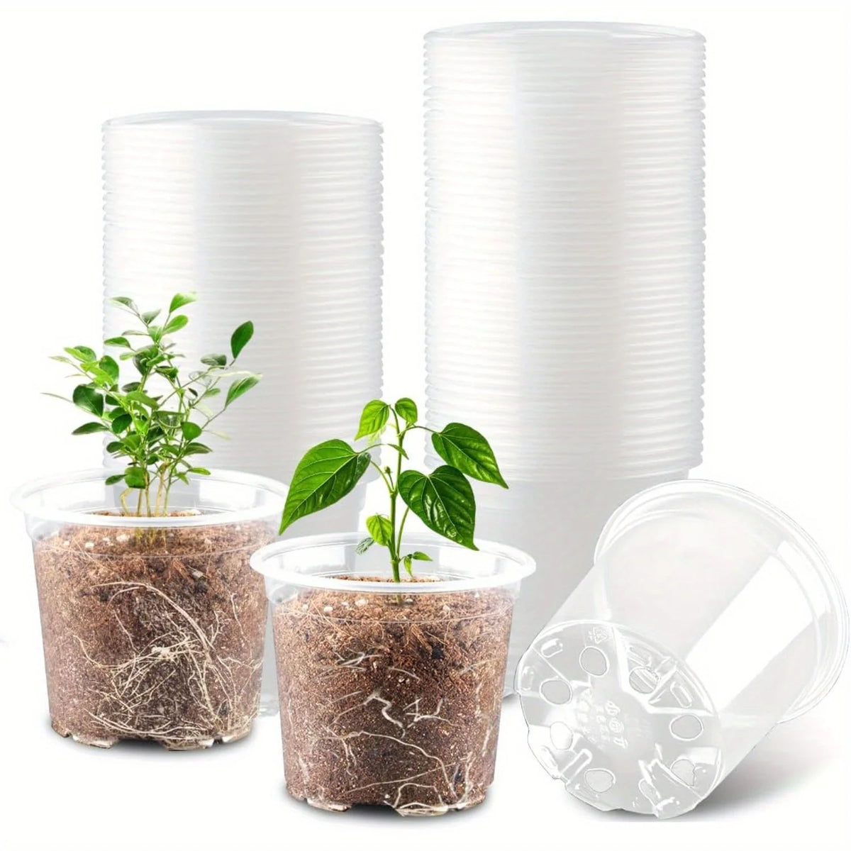 Clear Nursery Pots with Drainage – Transparent Variety Pack Nursery Pots Babs