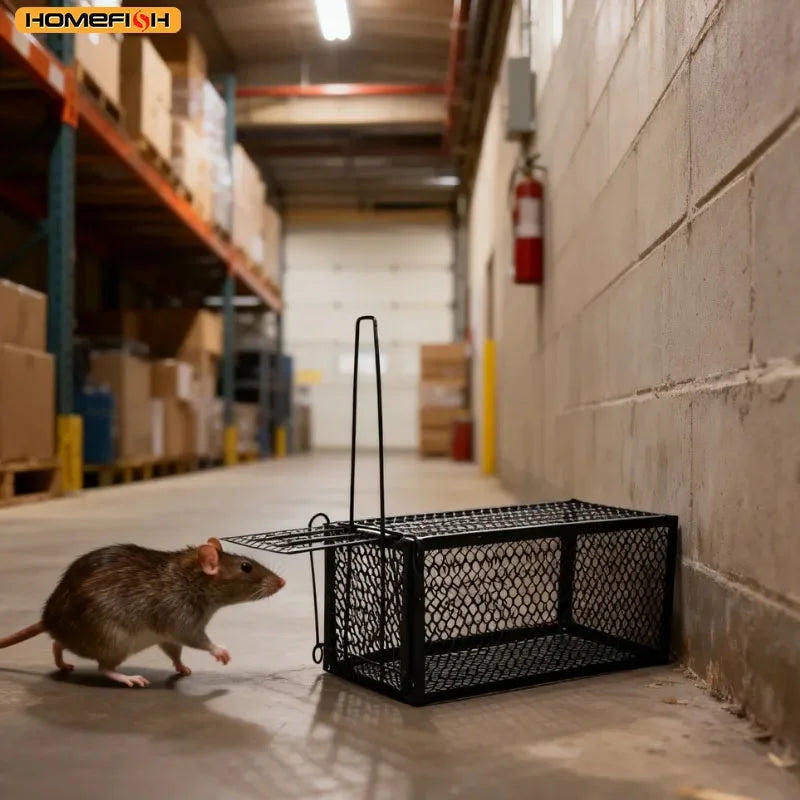 Humane Self-Locking Metal Mouse Trap – Reusable Indoor & Outdoor Humane Mouse Trap Babs