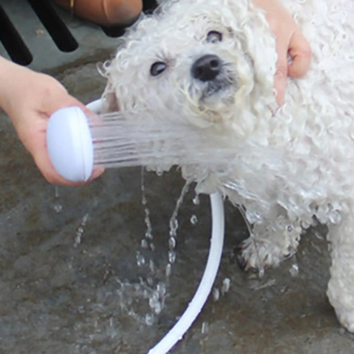 Handheld Pet Shower Sprayer – Universal Faucet Hose Attachment Pet Shower Sprayer Babs