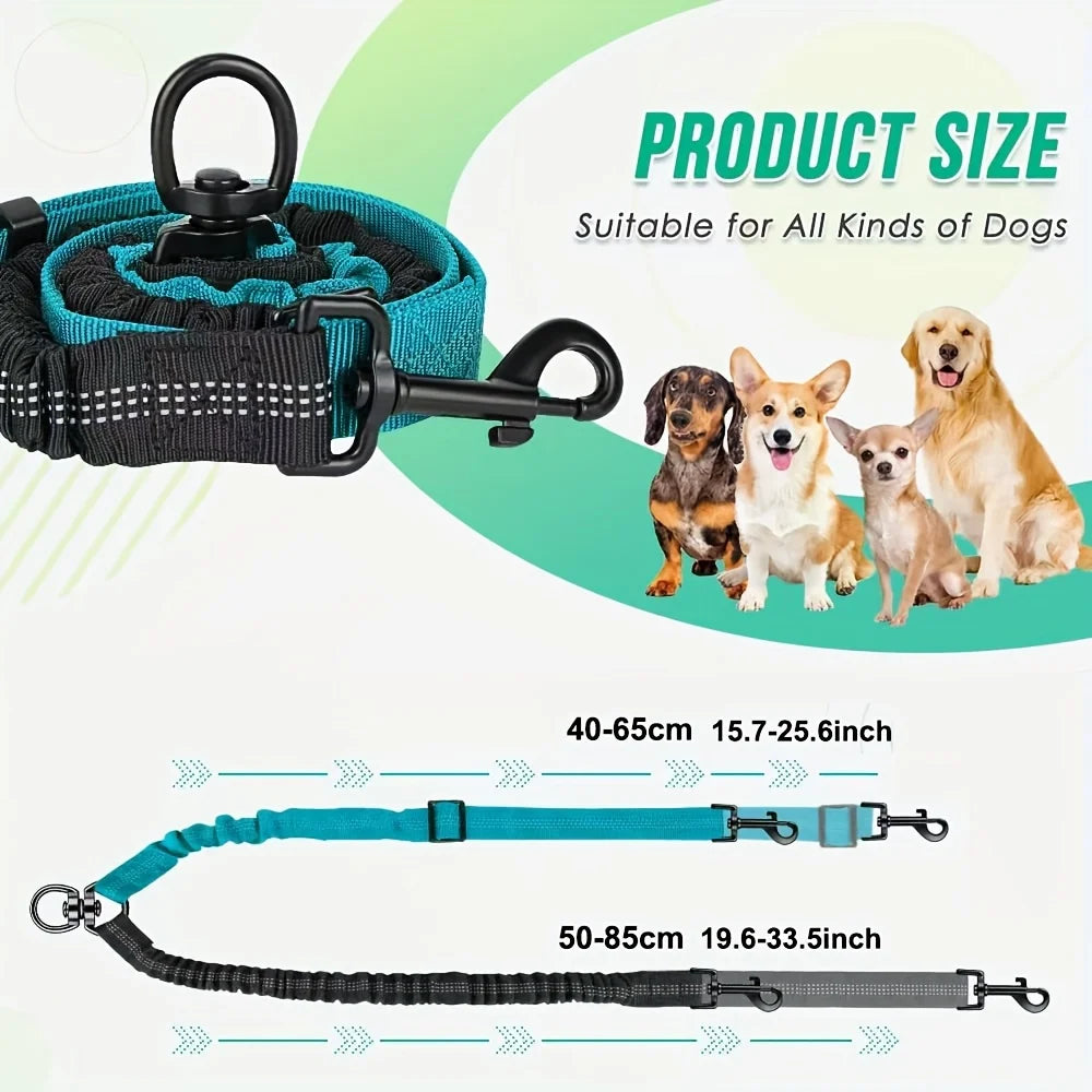 2-in-1 Dual Dog Leash – Heavy-Duty Double Lead for Two Dogs Dual Dog Leash Babs